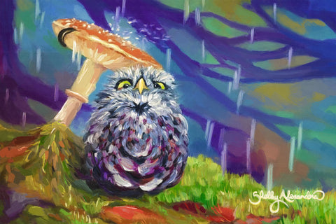 "Baby Owl" ROLLED CANVAS Print