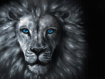 "Leo" ROLLED CANVAS Print