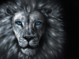 "Leo" FINE ART Print